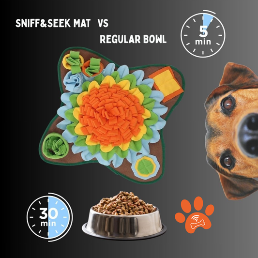 Alfombrilla para mascotas Advanced Sniff & Seek