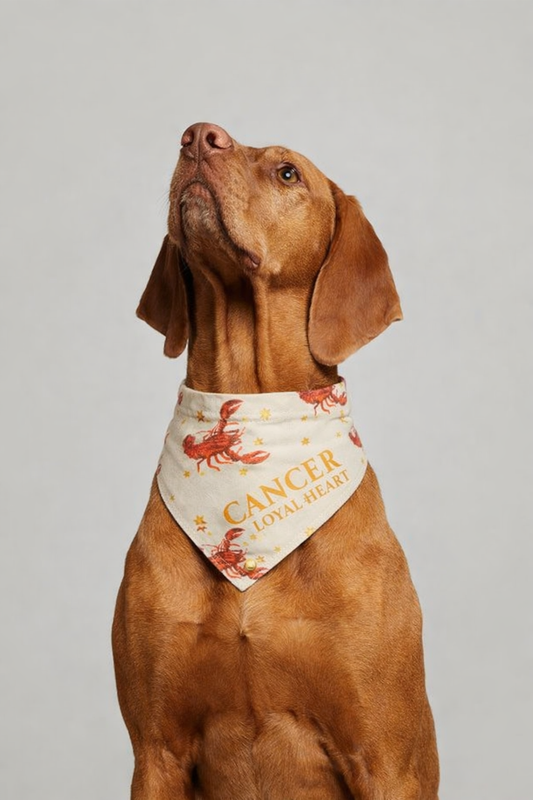 Cancer Bandana for Large & XL Dogs