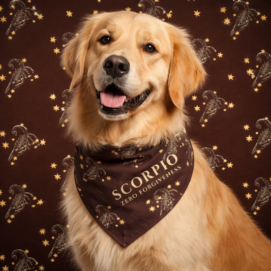 Scorpio Bandana for Large & XL Dogs