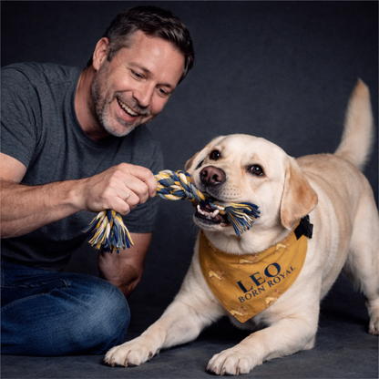Leo Bandana for Large & XL Dogs