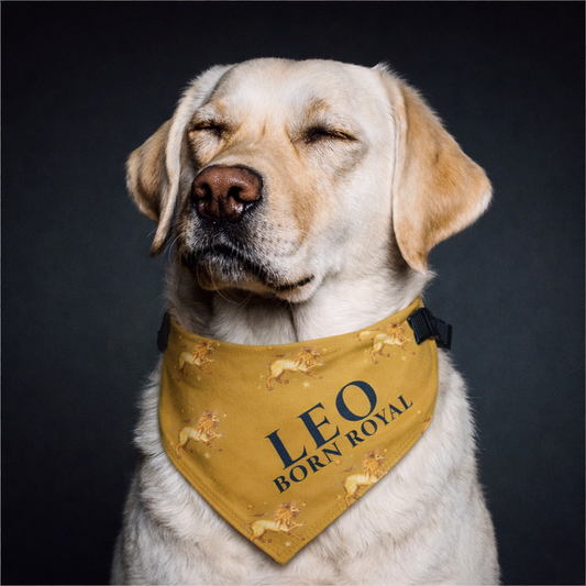 Leo Bandana for Large & XL Dogs