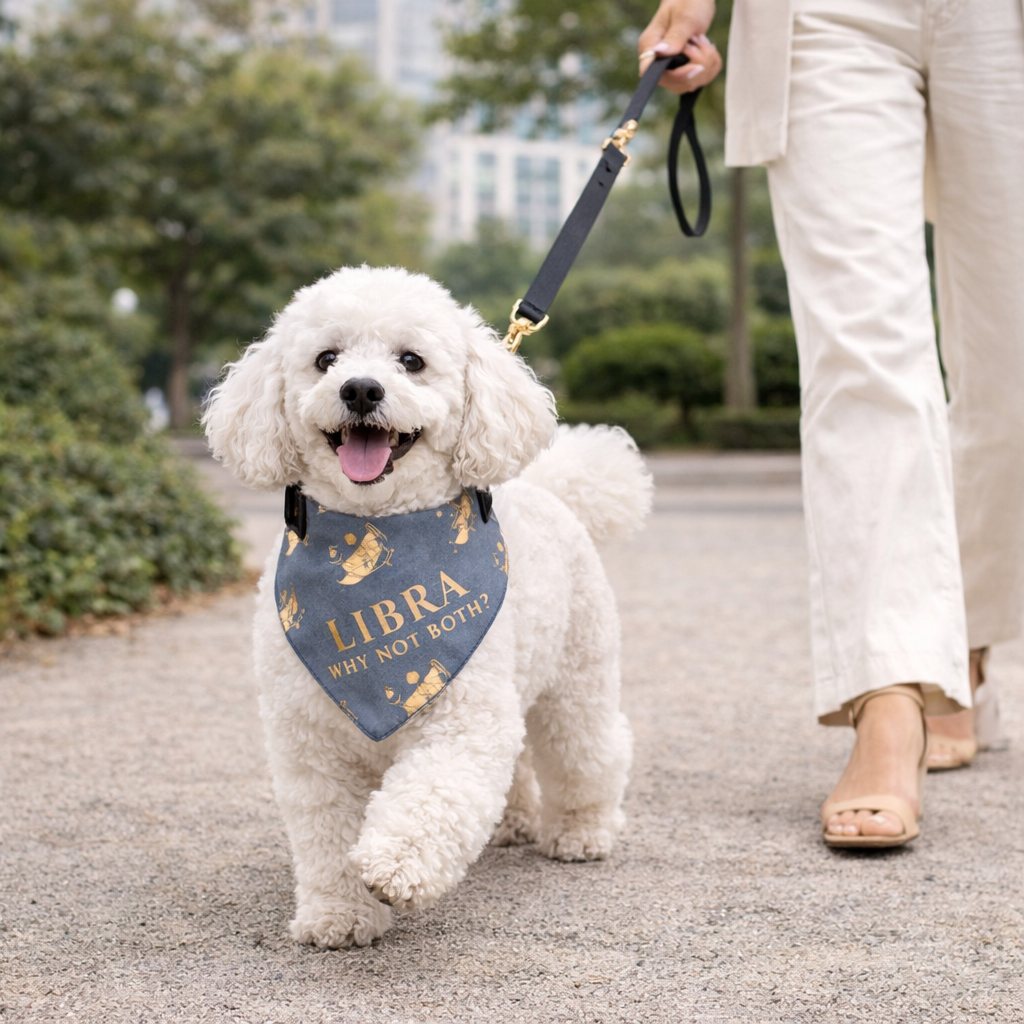 Libra Zodiac Pet Bandana Collar L/XL