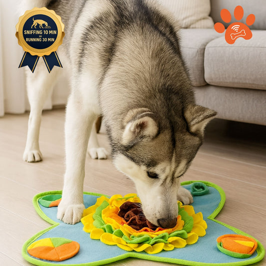 Sniff&Seek™  River Pets Mat