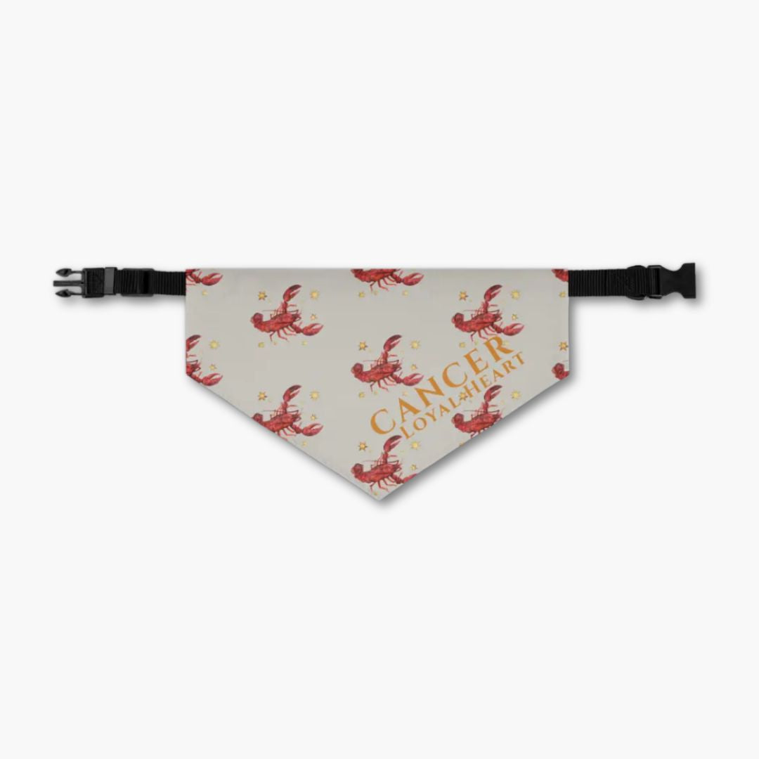 Cancer Bandana for Large & XL Dogs