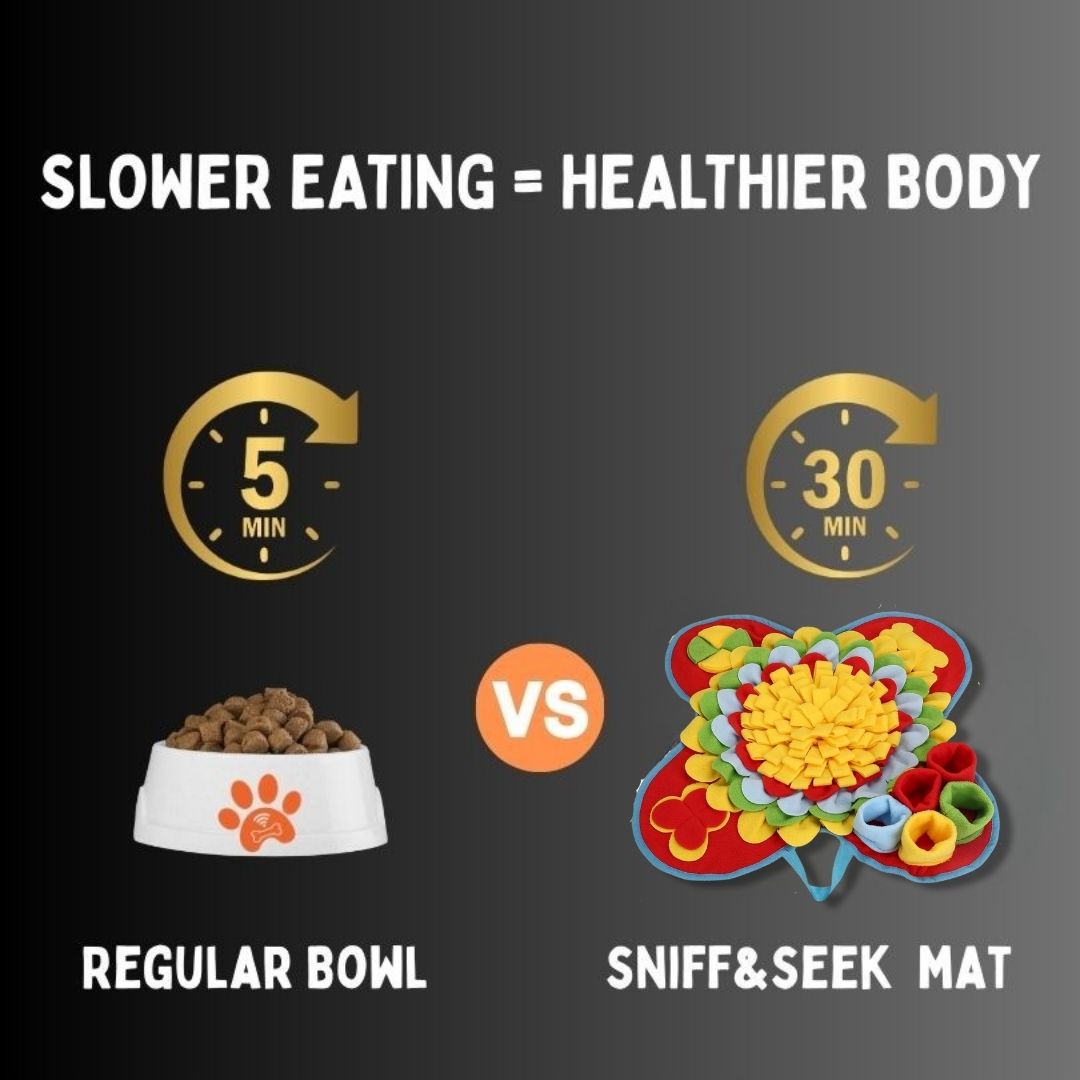 Sniff&Seek™ Sunset Pets Mat