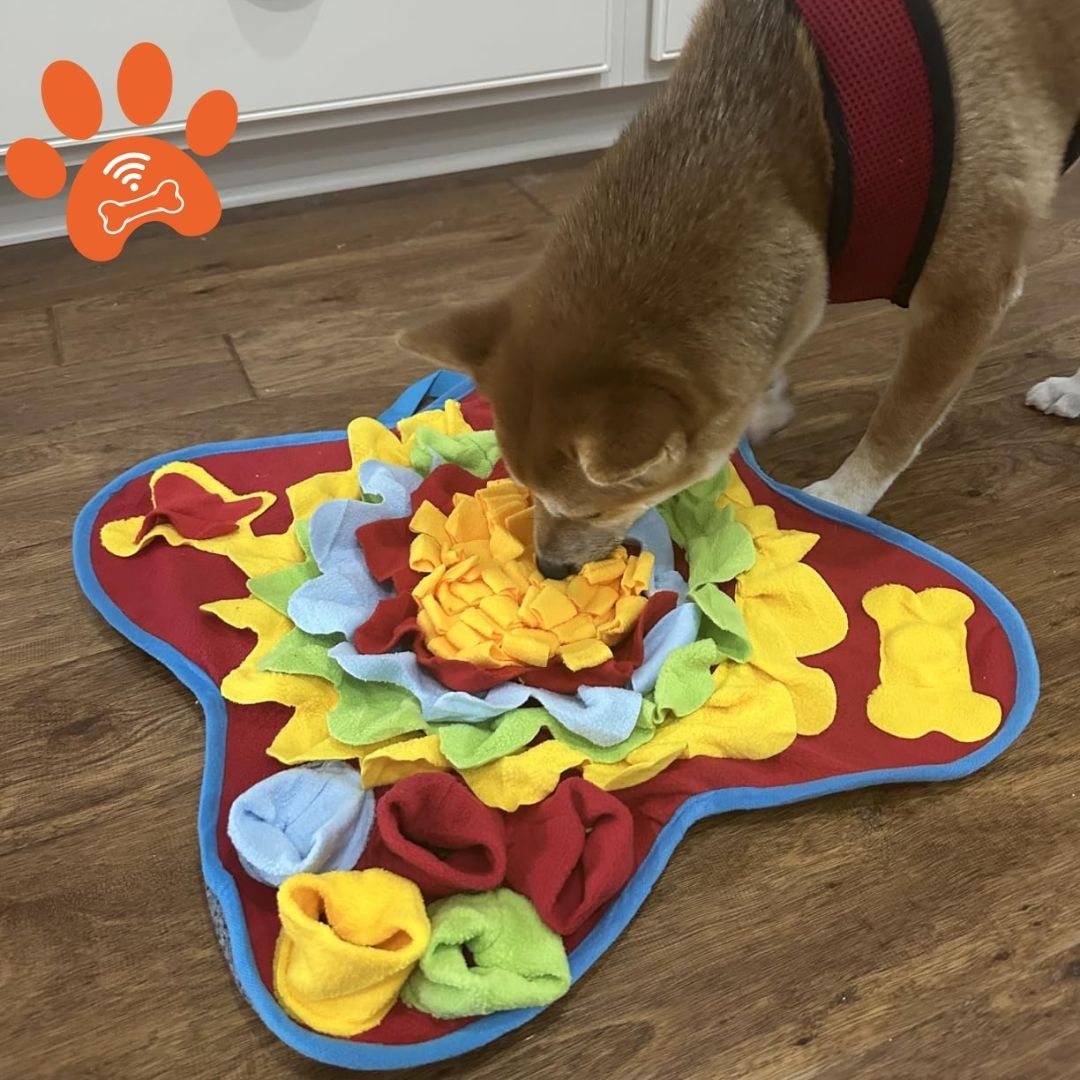 Sniff&Seek™ Sunset Pets Mat