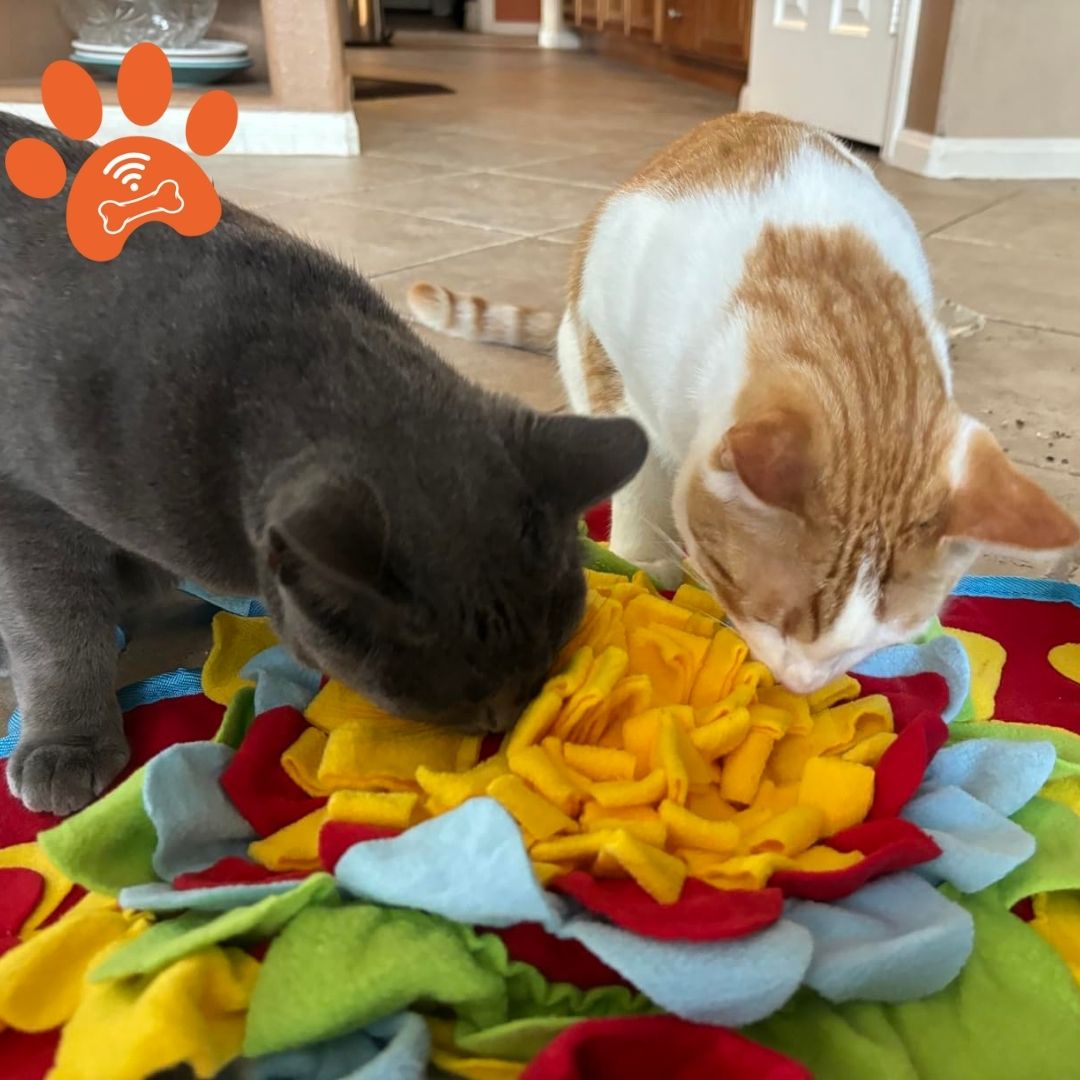 Sniff&Seek™ Sunset Pets Mat