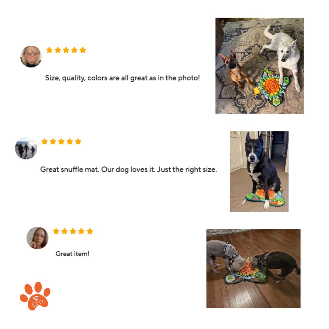 Sniff&Seek™ Sand Pets Mat