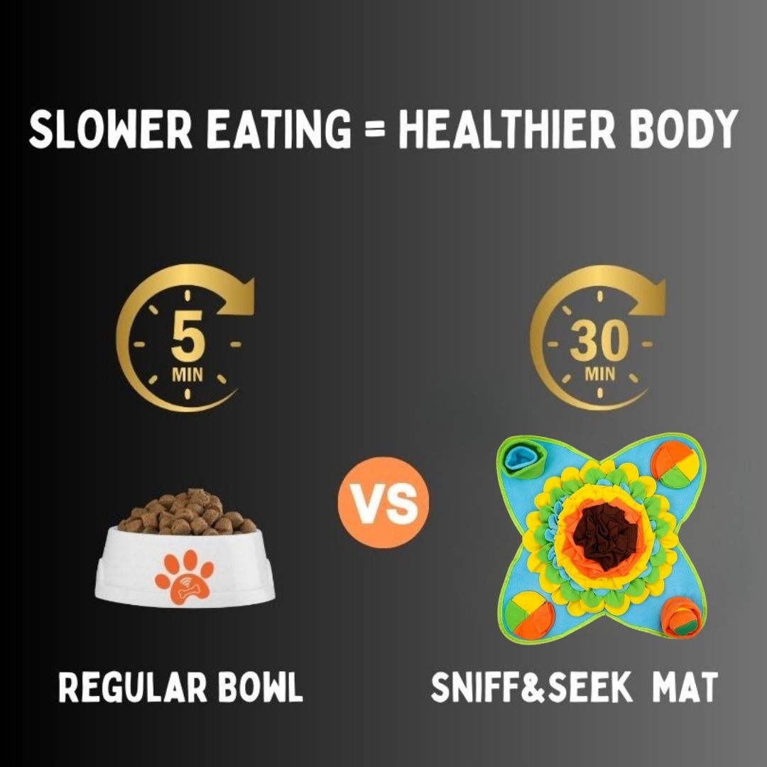 Sniff&Seek™  River Pets Mat