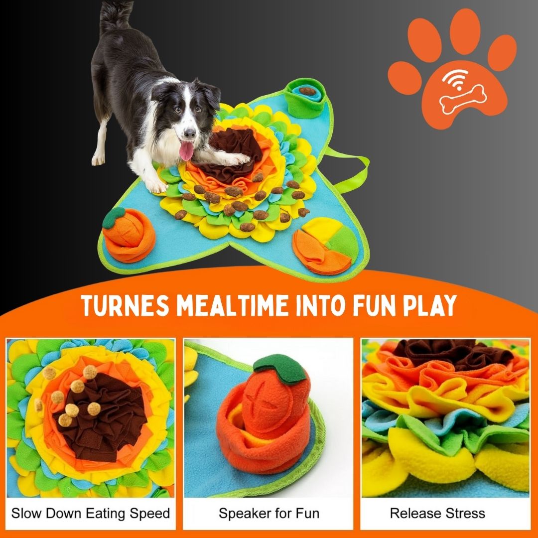 Sniff&Seek™  River Pets Mat