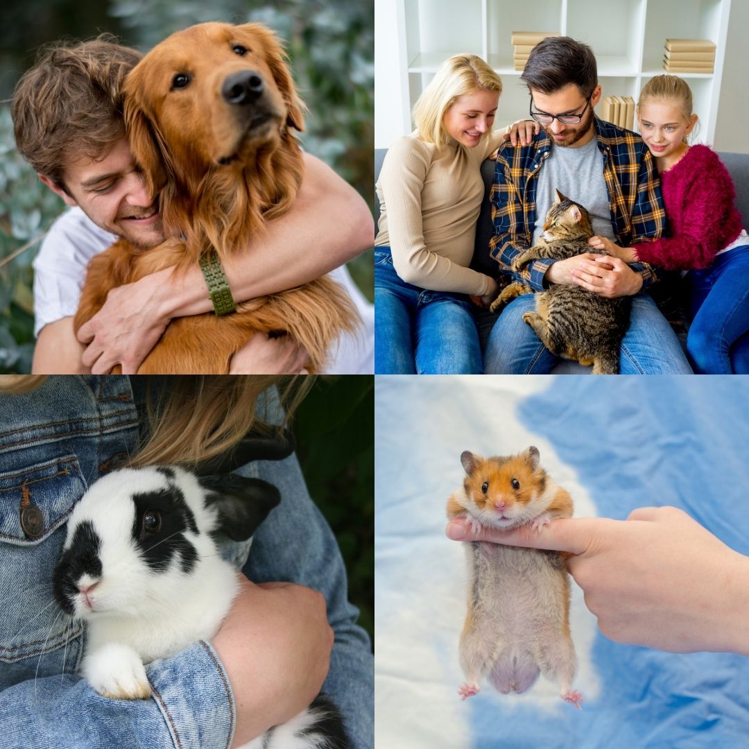 Collage of people with pets including a dog, cat, rabbit, and hamster.