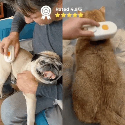 Calm&Care Holiday Set