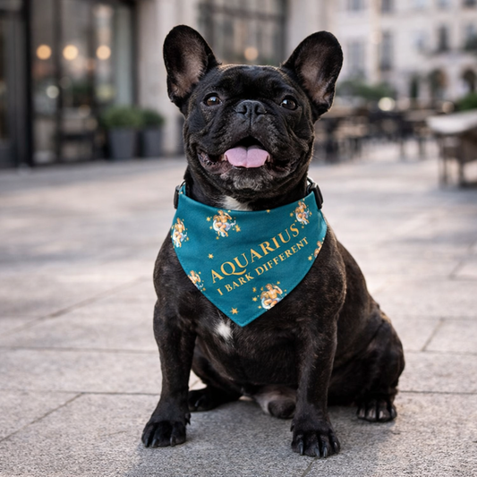 Aquarius Bandana for Large & XL Dogs