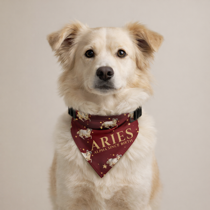 Aries Bandana for Small & Medium Dogs