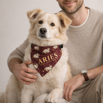 Aries Bandana for Small & Medium Dogs