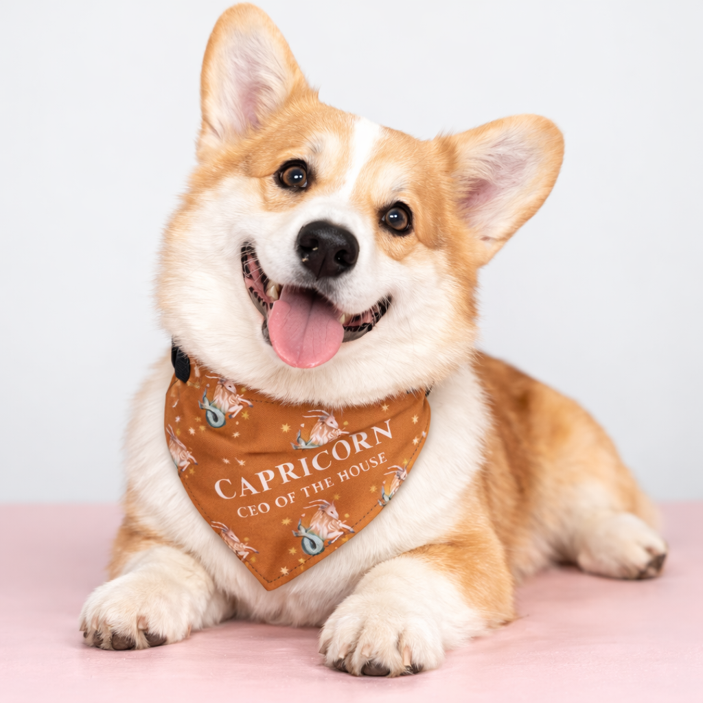 Capricorn Bandana for Large & XL Dogs