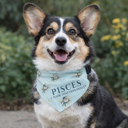 Pisces Bandana for Large & XL Dogs