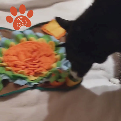 Sniff&Seek™ Sand Pets Mat