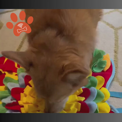 Sniff&Seek™ Sunset Pets Mat