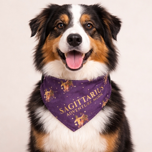 Sagittarius Bandana for Large & XL Dogs
