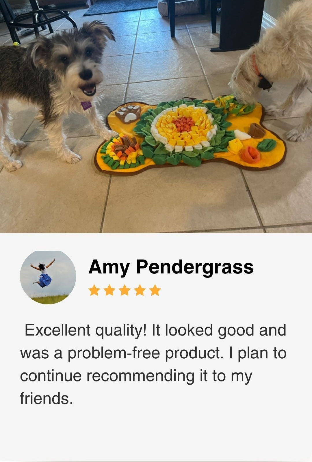 Two dogs standing next to a decorative sniff&seek forest mat on a tiled floor, with a review.
