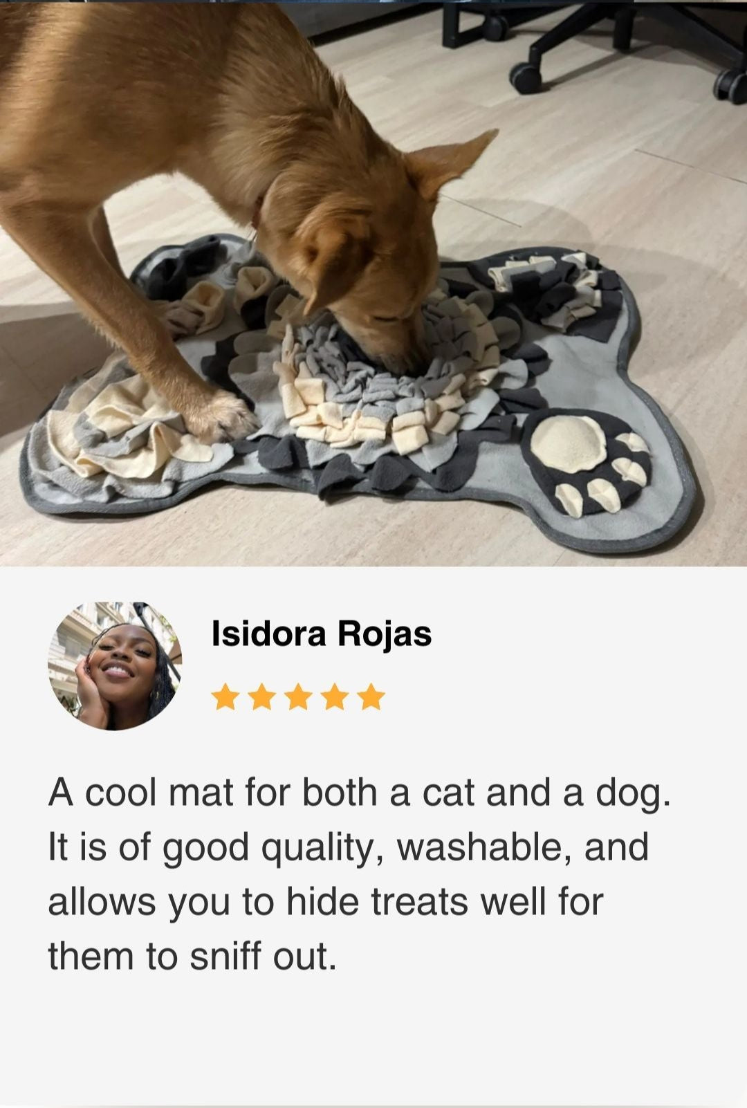 sniff&seek midnight Pet mat for both a cat and a dog with a review 