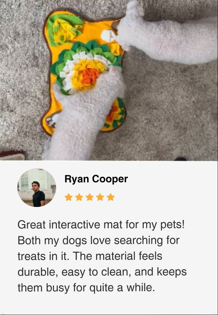 Pet toy withsnuffle mat, reviewed by Ryan Cooper.